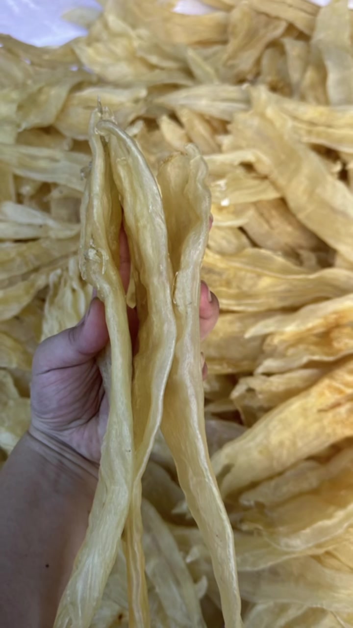 实图拍摄8头北海鱼胶～