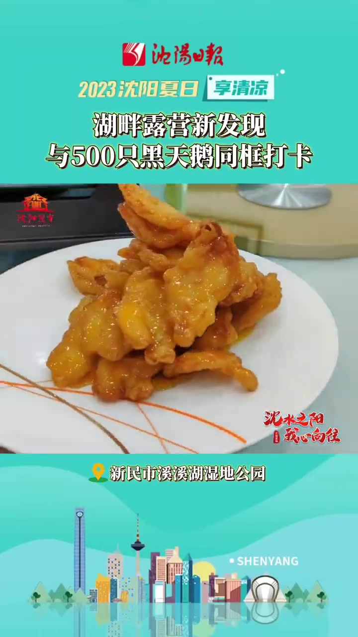 美好辽宁欢迎您「分分钟出大片天鹅湖沈阳分湖等你打卡」美味辽宁等您来 溪溪湖是新民市一处自然