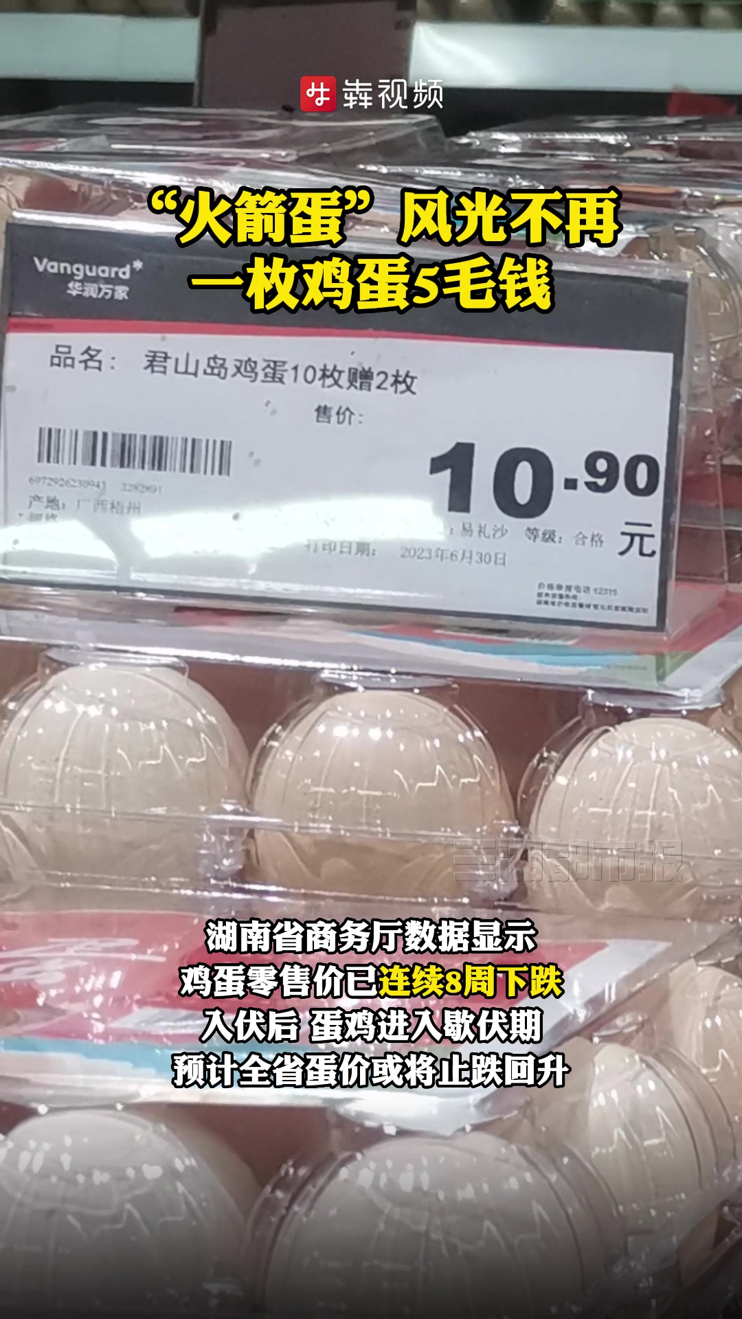 “火箭蛋”风光不再,一枚鸡蛋5毛钱