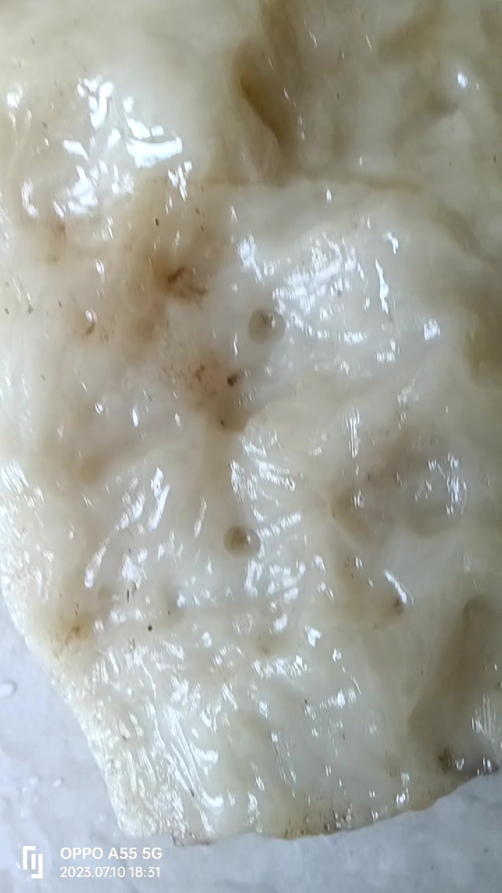 寿山石之猪油白芙蓉石和鸡血红高山石