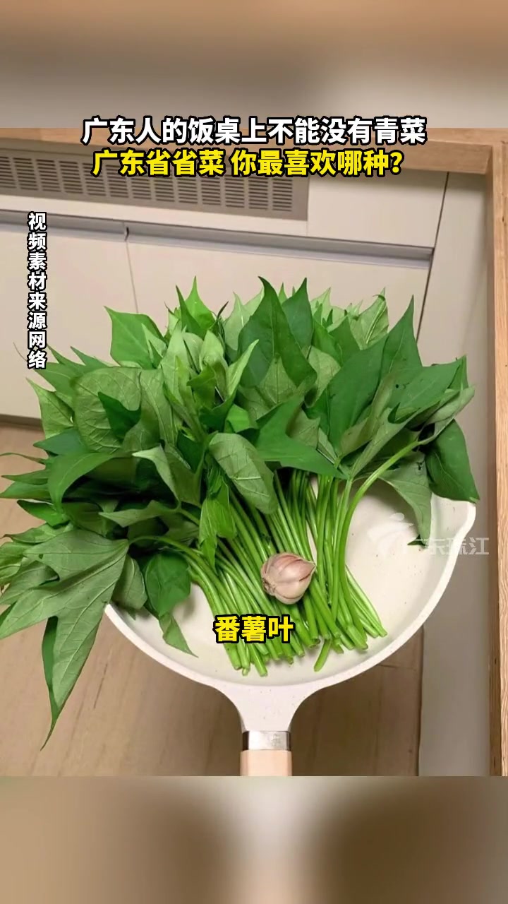 广东人的餐桌上不能没有青菜 哪款是你最爱的广东省省菜 粤菜 粤菜美食 广东家常菜做法 青菜