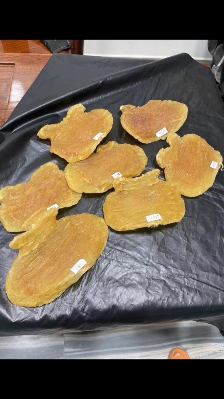 红鸡赤嘴鱼胶是鱼胶的一个品种,其功效包括补肾益精、止血