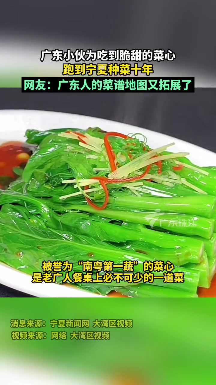广东小伙为吃到好吃的菜心 跑到宁夏种菜十年 白灼菜心 菜心 广东省省菜 宁夏菜心