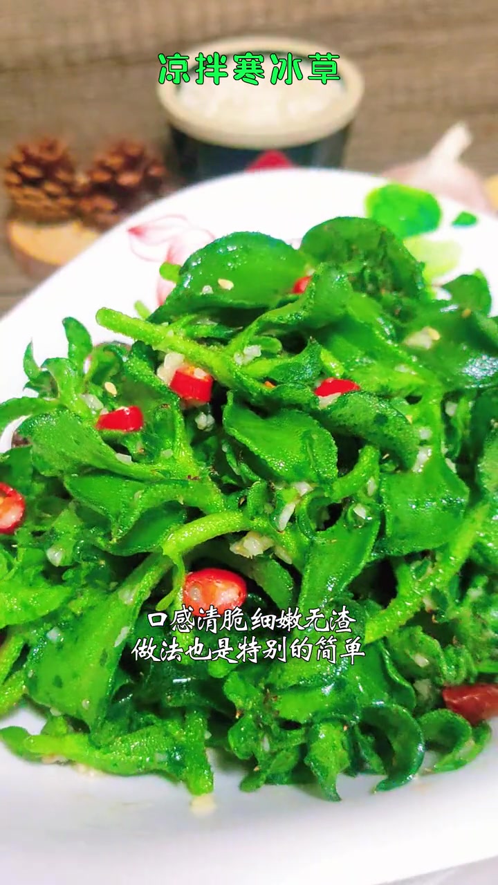 凉拌寒冰草 非常适合夏天吃的小凉菜 寒冰草的做法 凉拌寒冰草 创作灵感 馍饭丈夫就是我