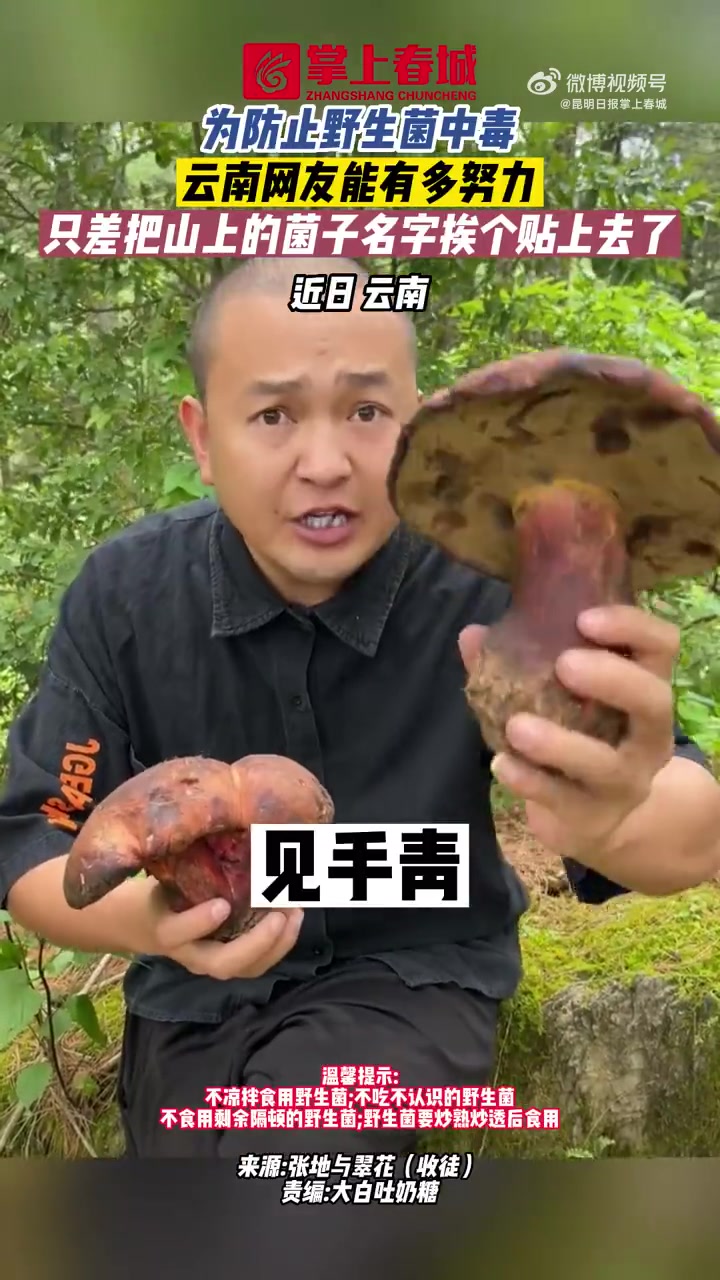 「为防止野生菌中毒云南网友能有多努力?只差把山上的菌子名字挨个贴上去了」“见手青”是云南人
