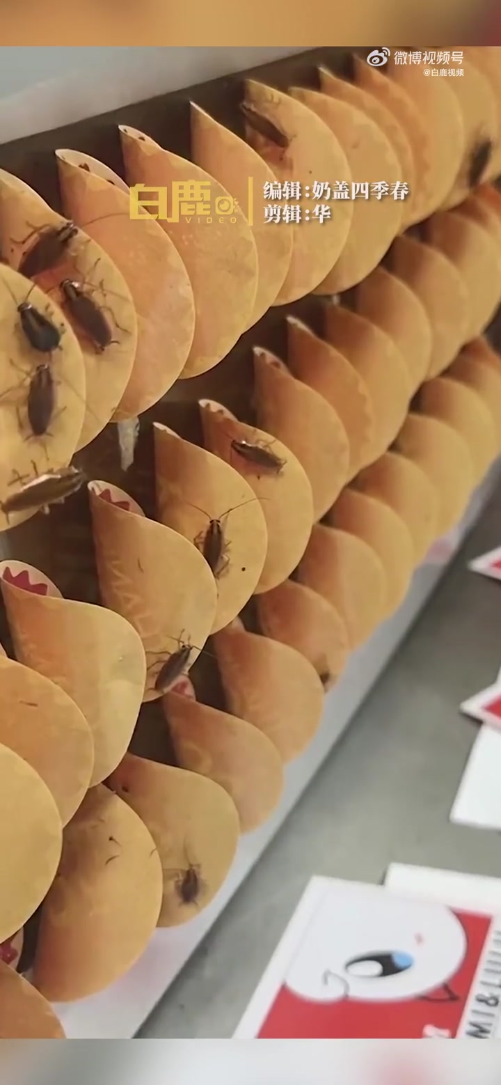 「网友称到店取外卖发现店内爬满蟑螂 商家:前员工恶意诽谤,店里每天都会做清洁」7月11日,