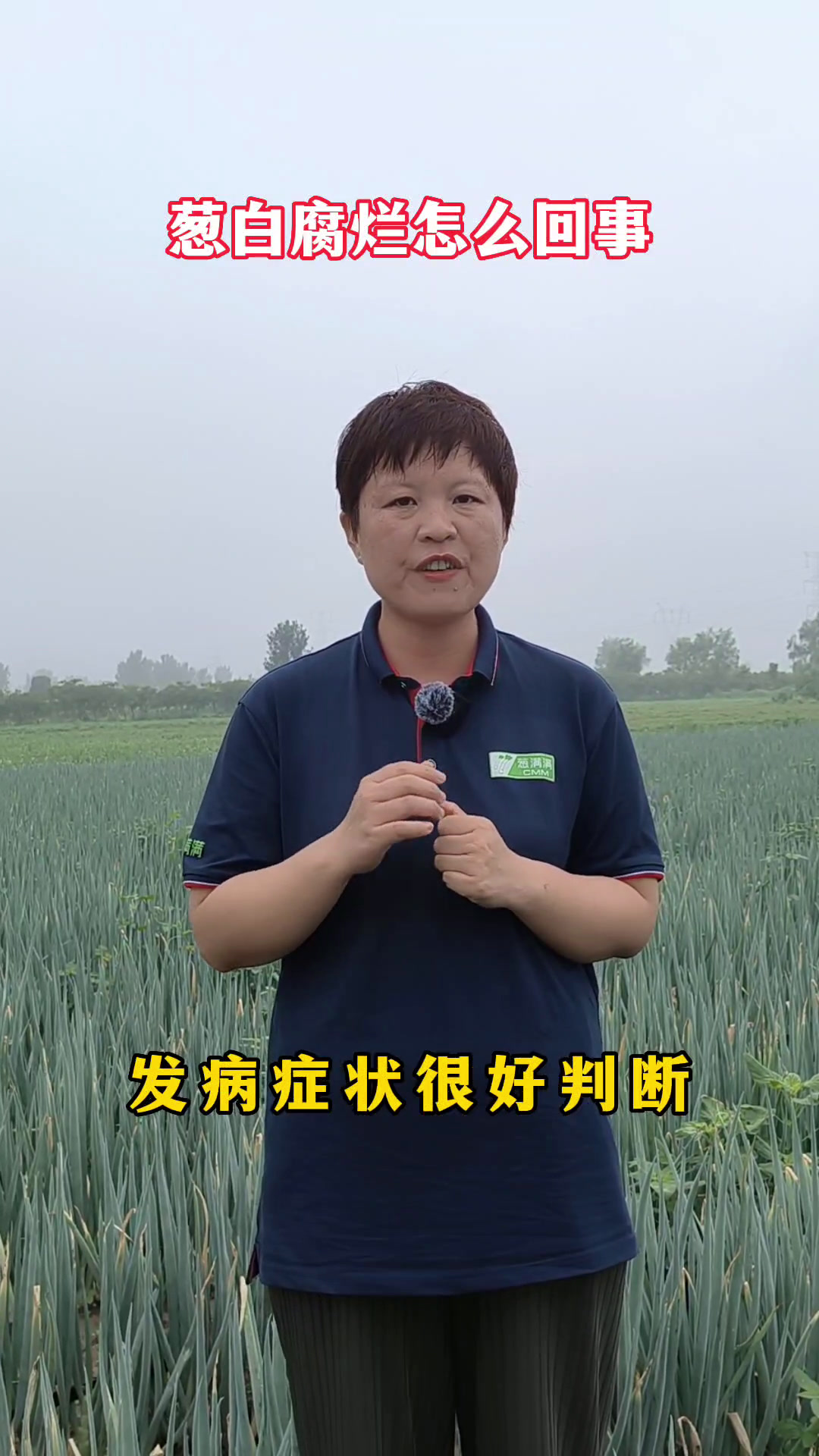 大葱葱白烂是怎么回事
