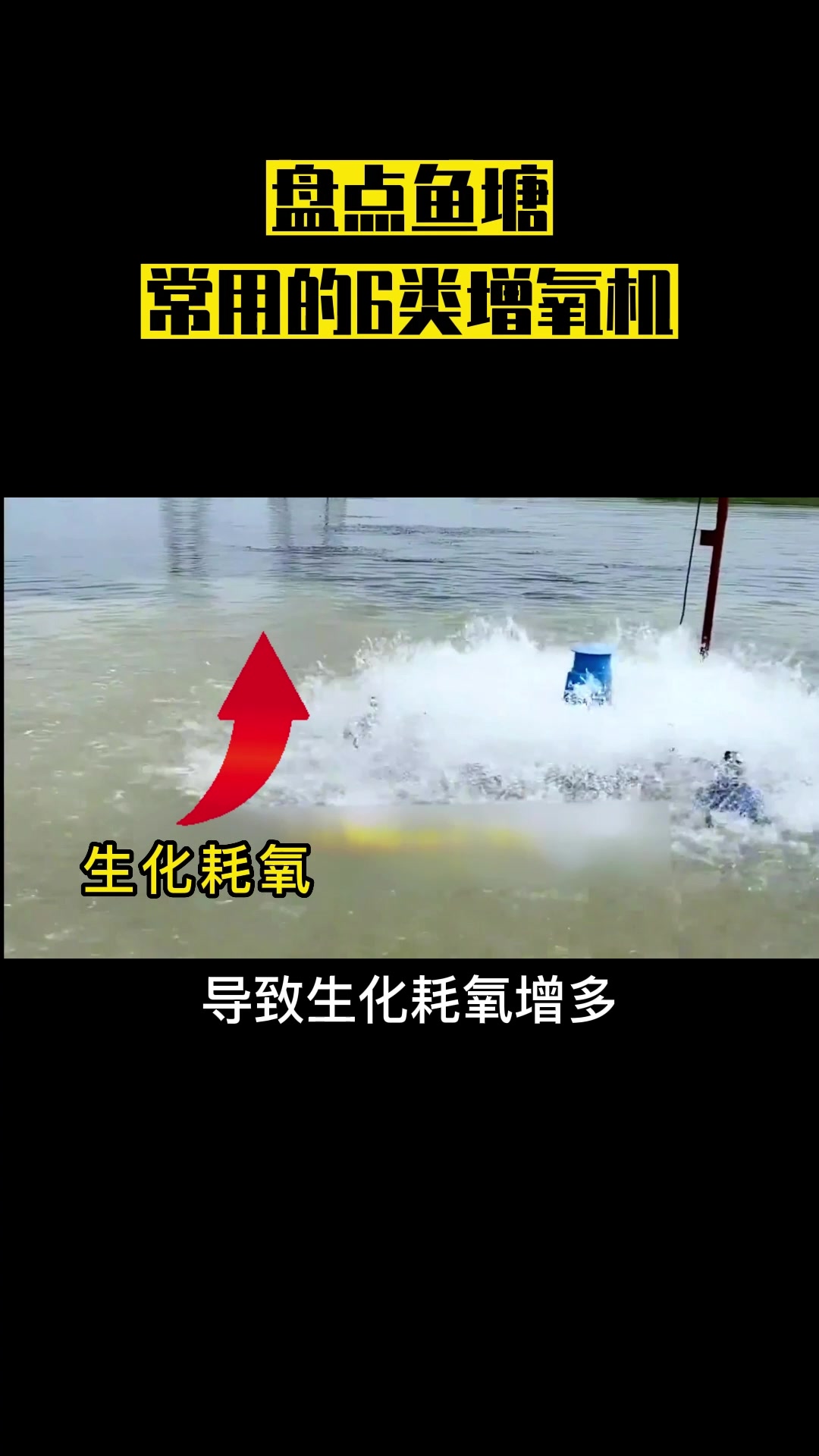 知识科普|养鱼必备!6种常用增氧机大盘点!看看你家用的是哪个