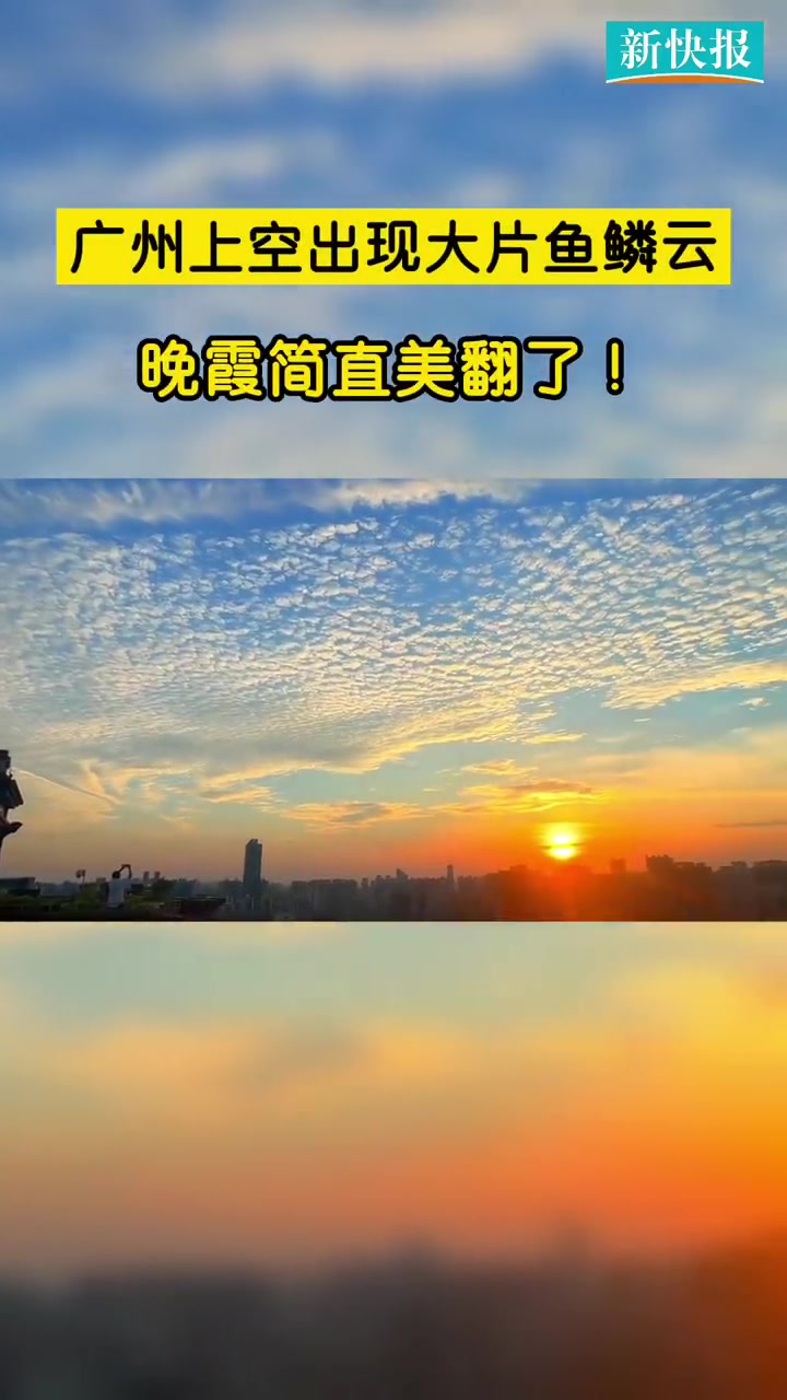 「广州的鱼鳞云美翻了你看到了吗?」7月14日,广州出现鳞片似的白云,十分美丽!据悉,这种 
