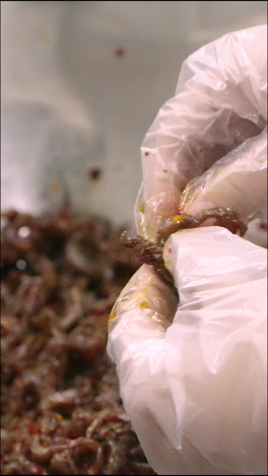 湖南特产纯辣椒熬煮的鸭脚筋你们敢挑战吗?