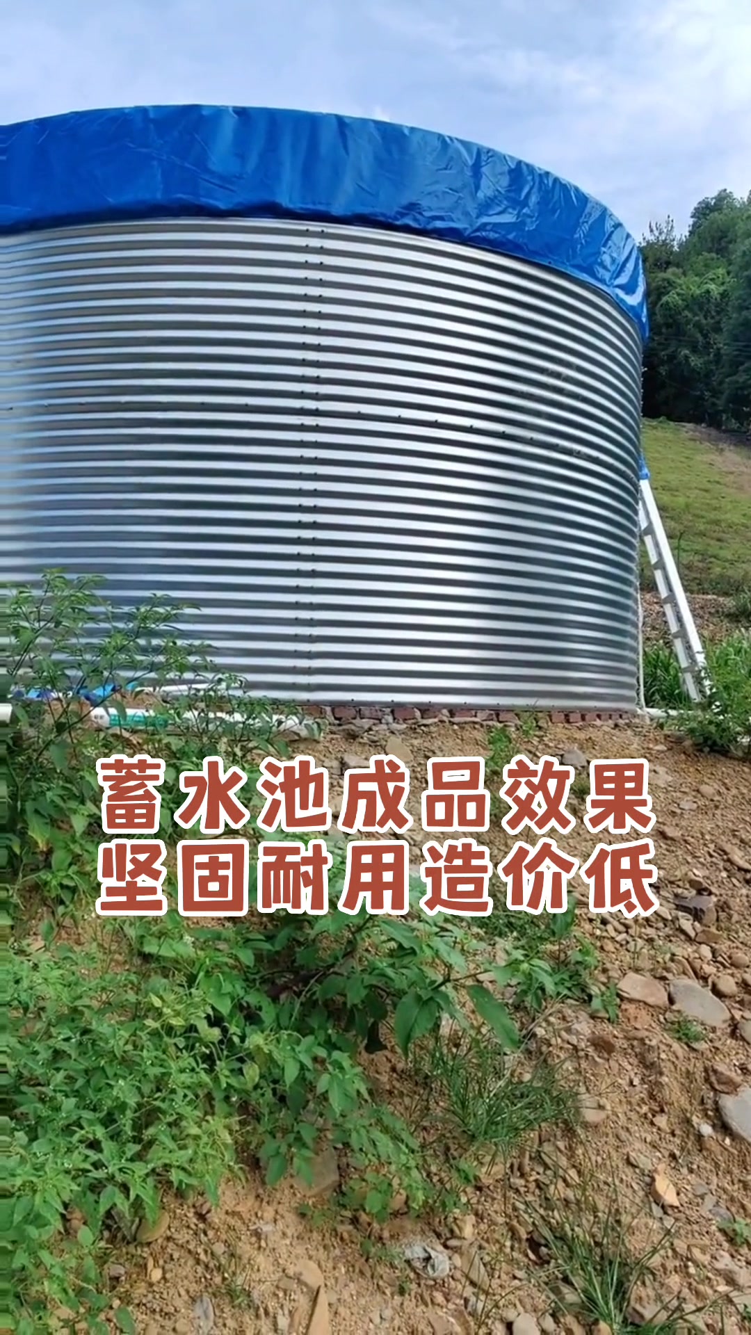 镀锌板帆布鱼池成品效果