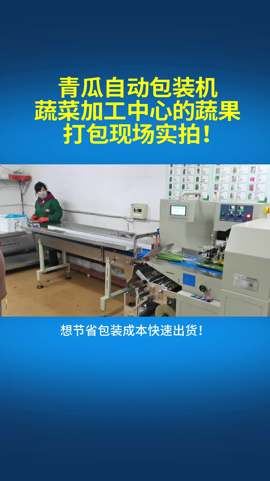 蔬菜配送中心 每天出货量大 只能使用全自动蔬菜青瓜包装机!