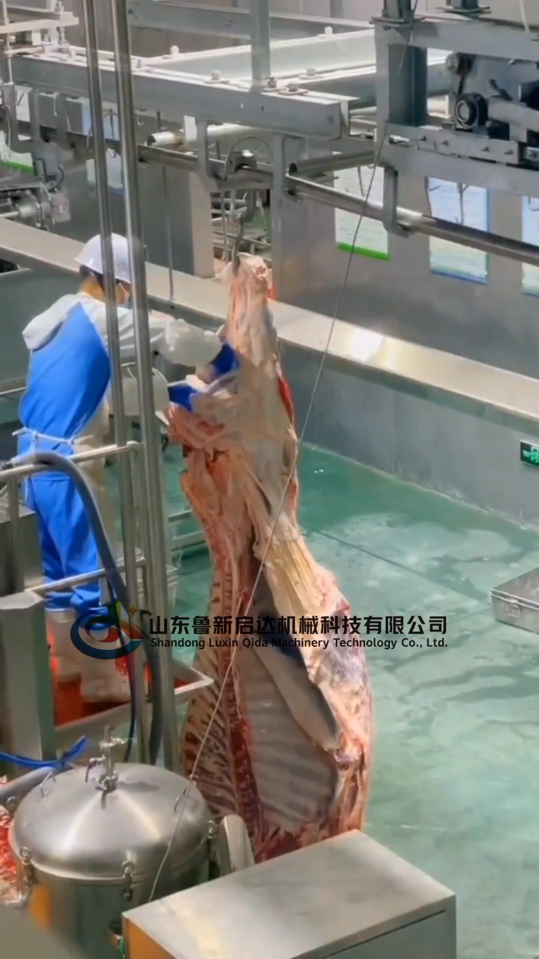 全自动牛屠宰流水线,大型宰牛全套设备,屠宰牛的机器,肉牛屠宰
