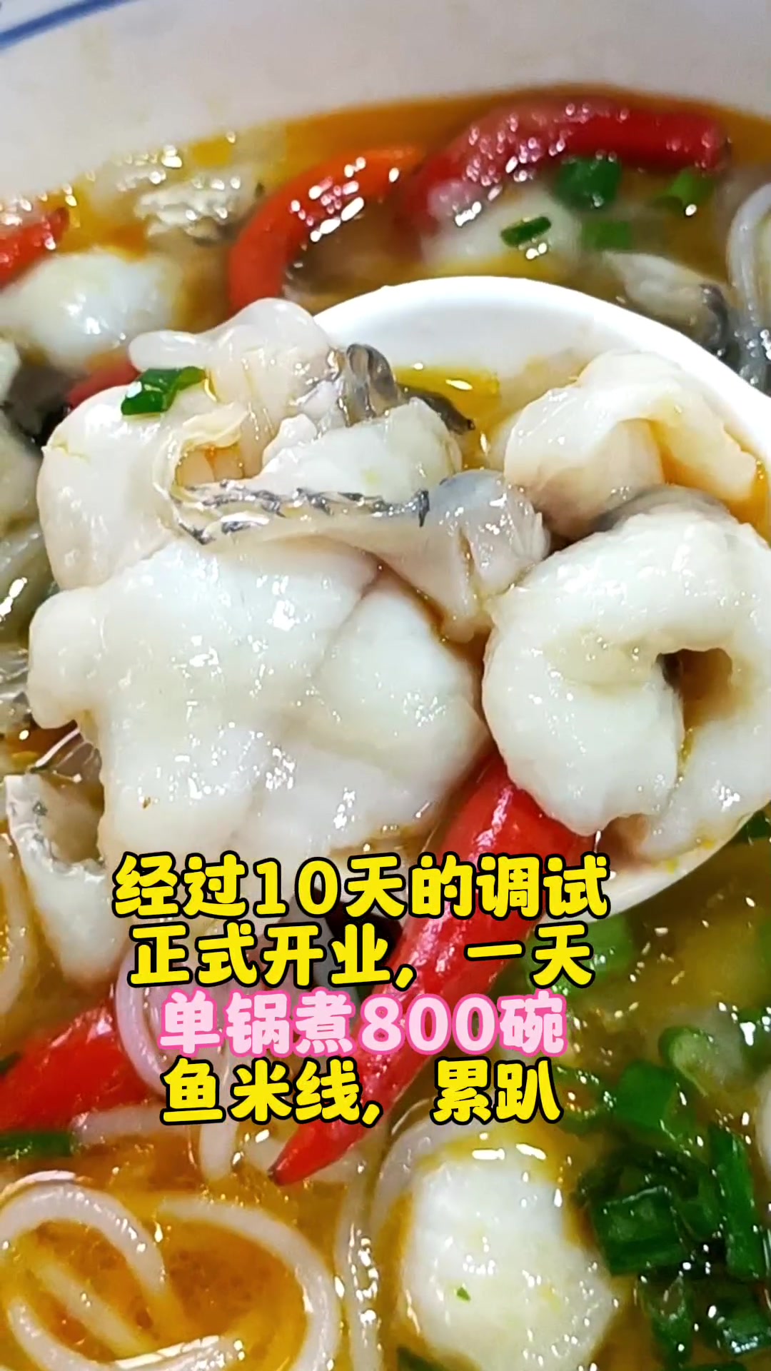一天现煮800碗鱼米线,12天把店干爆了