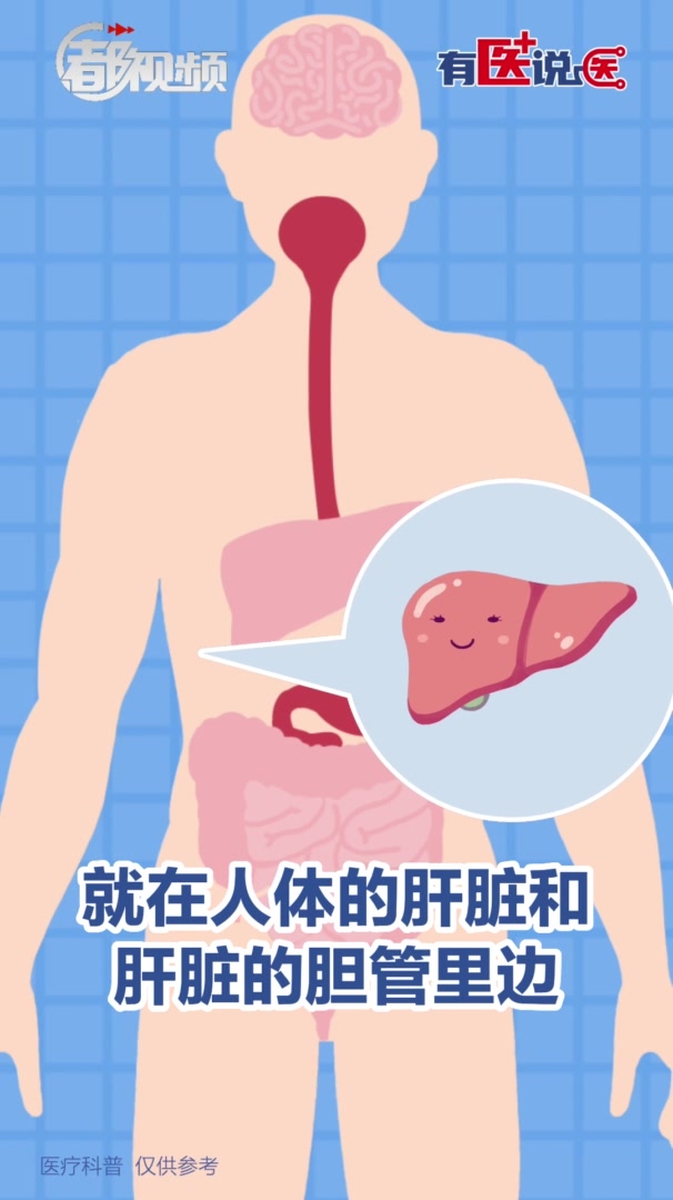 有医说医|吃海鲜容易得寄生虫病?这四招教您安全食用水产品!