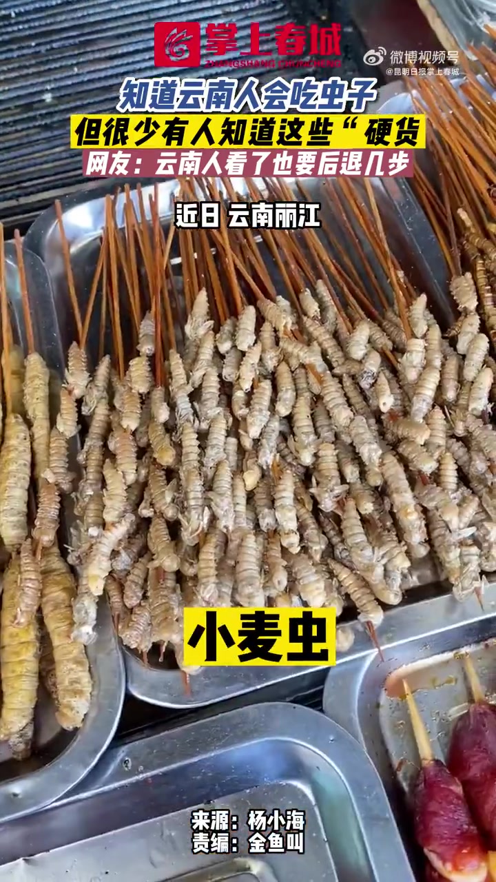 「你敢吃吗?云南人看了也要后退的硬货」知道云南人会吃虫子,但很少有人知道这些“硬货”,网友