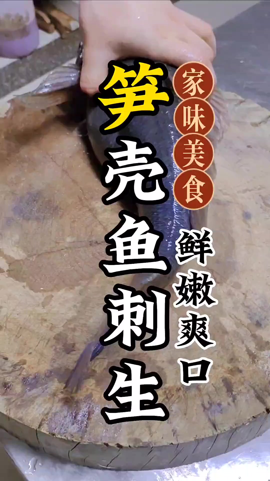 笋壳鱼做鱼生你吃过吗?笋壳鱼 鱼生