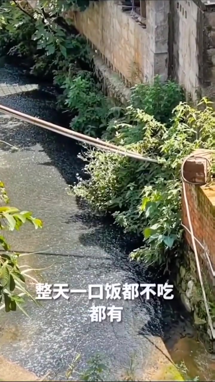 跨越37年的验疤认亲!妹妹已满头白发
