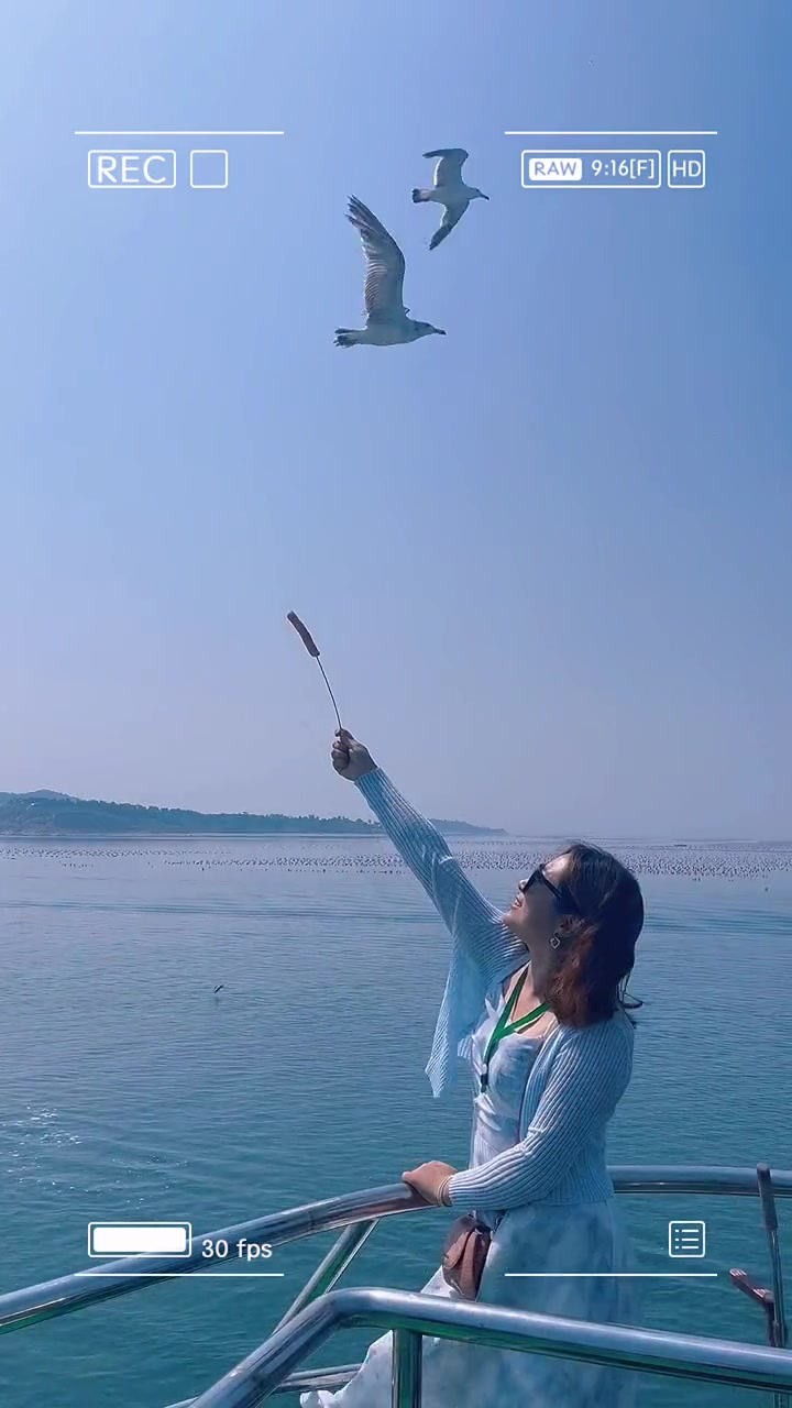 去有风的地方看海鸥飞翔 带你去看海鸥和大海 去看可以治愈一切的大海 向海风许愿在山海相见