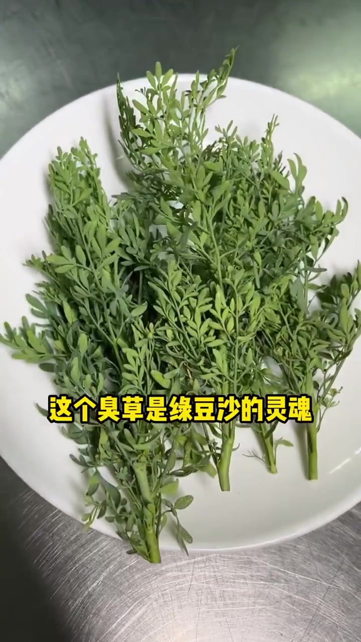 「臭草陈皮绿豆沙」全教程!如何煲开花、用什么煲、煲多久都会详细分享!值得点赞收藏!