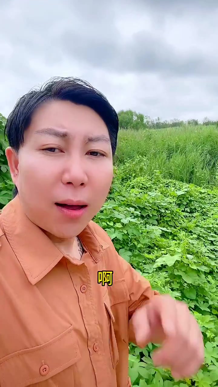进口牛肉跟国产牛肉区别