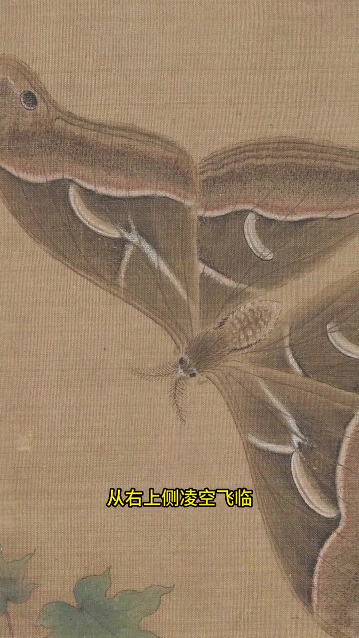 宋朝年间的一幅名画,一只大蝴蝶飞舞,画风灵秀 书画 国画 国画艺术 国画花鸟 +小助手