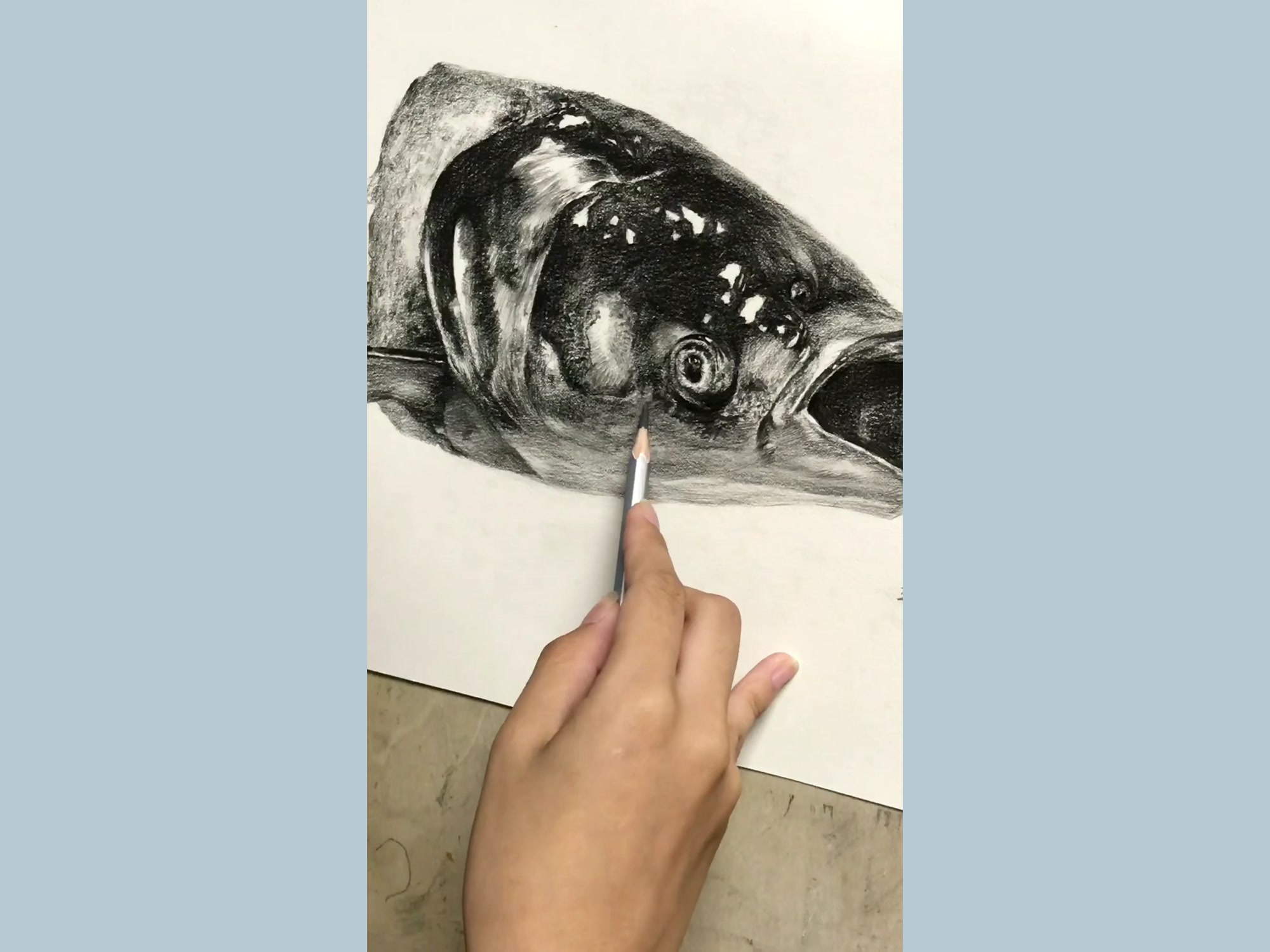 二年级孩子素描鱼头写生