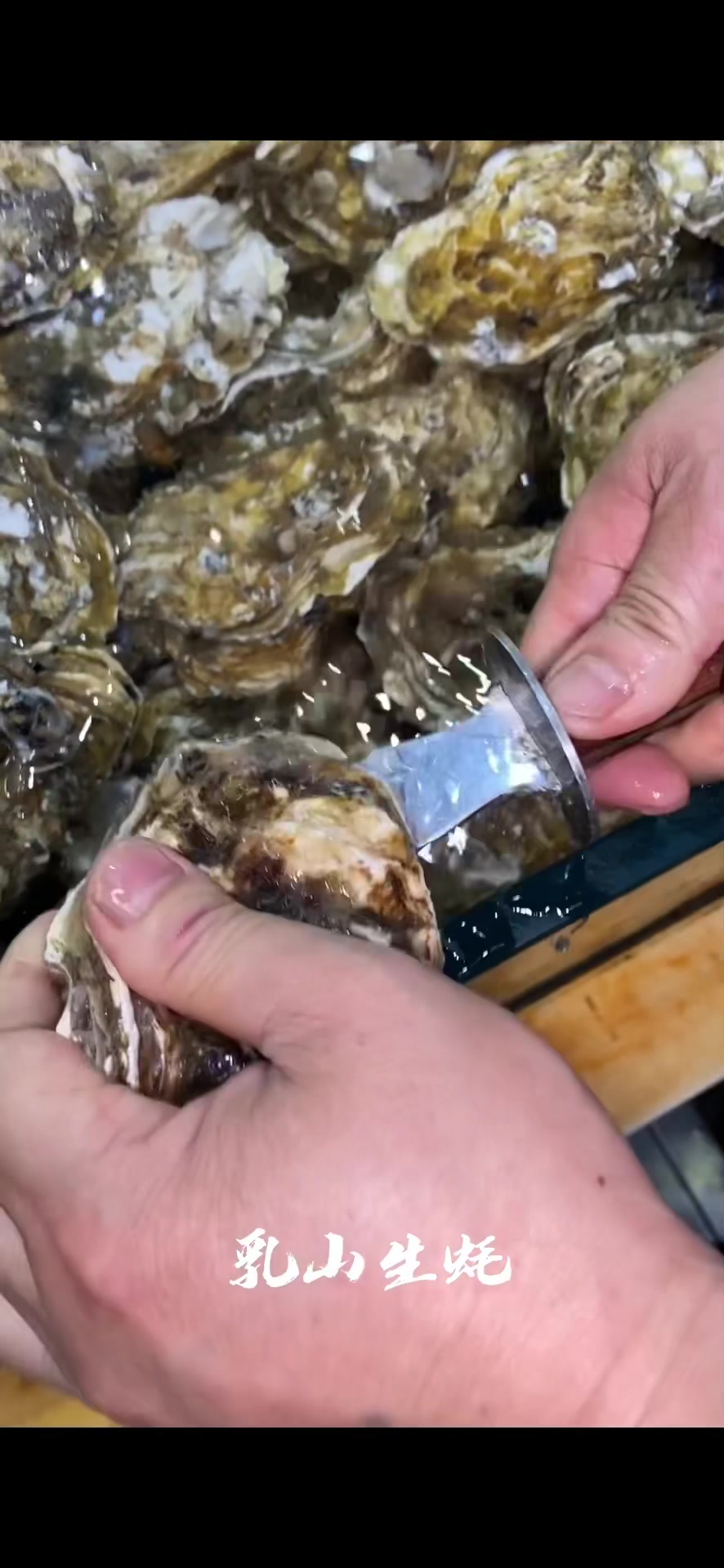 海鲜盛宴,趁鲜才食。生活不止有诗和远方,还有海鲜和理想。听说