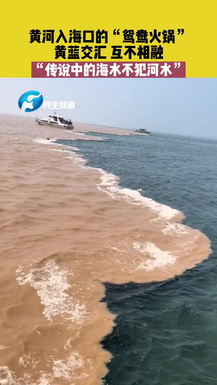 7月23日,山东东营,黄河入海口的“鸳鸯火锅”,黄蓝交汇,互不相融,“传说中的海水不犯河水