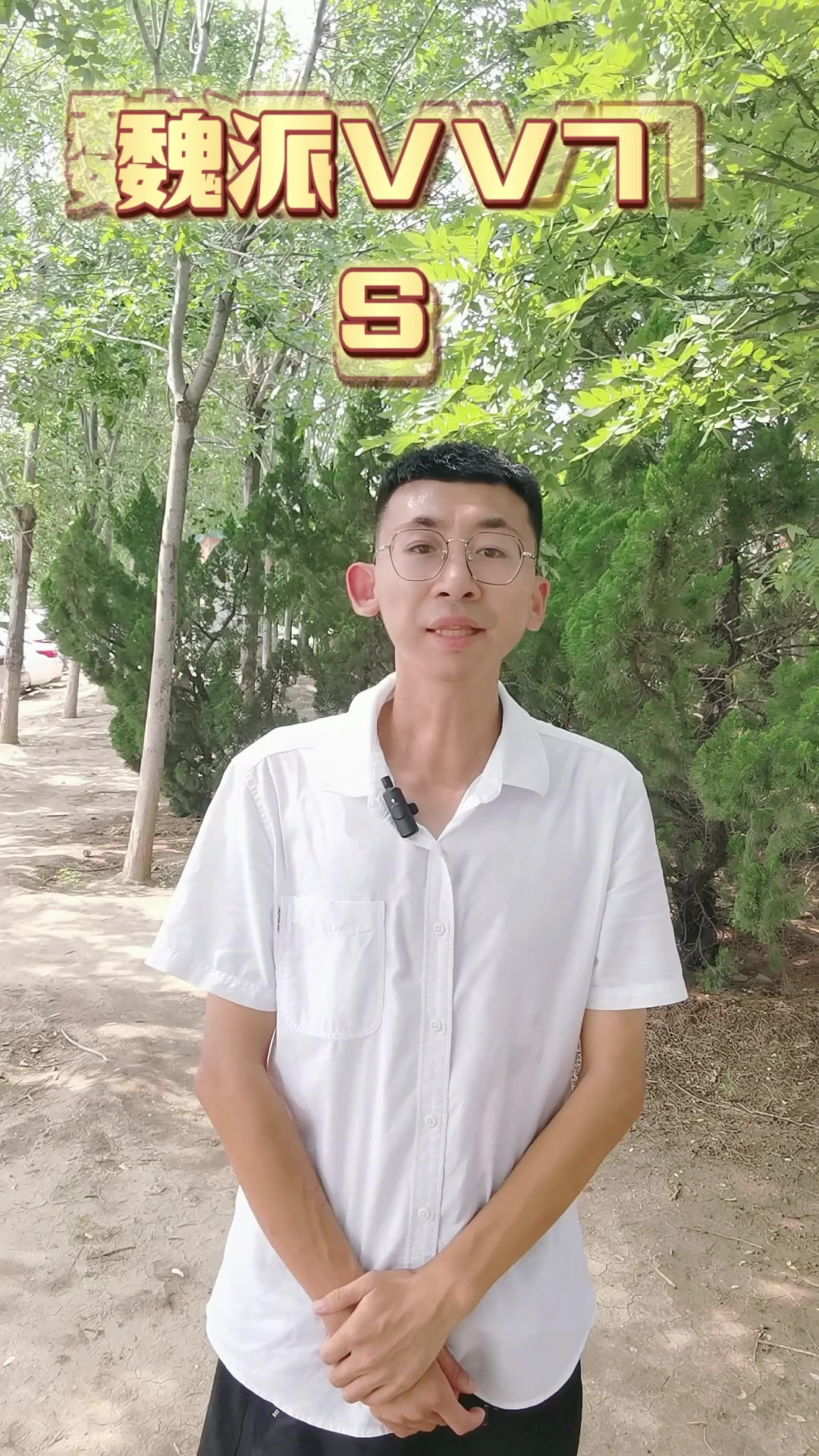 17年上牌的魏派VV7S