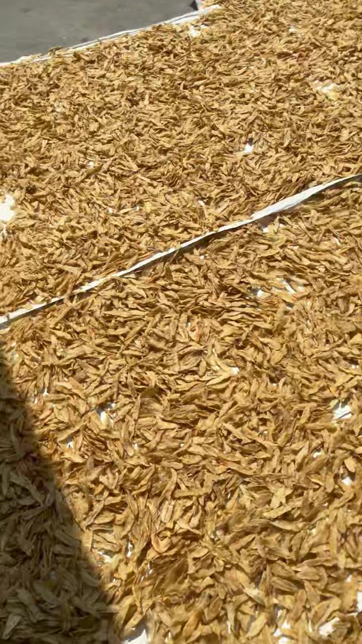 适合大人小孩吃的金龙鱼胶 煲汤最实惠