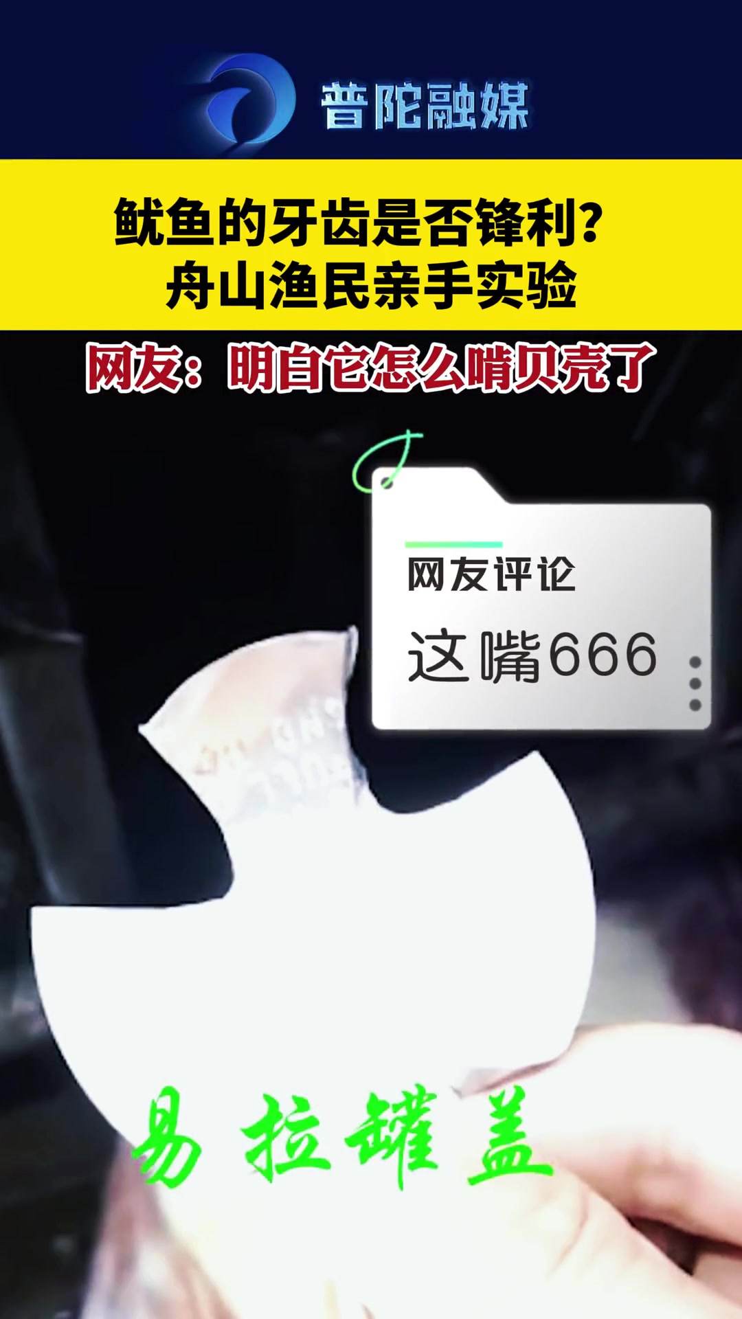 鱿鱼的牙齿是否锋利,让舟山渔民亲手为大家实验,网友:明白它怎么啃贝壳了