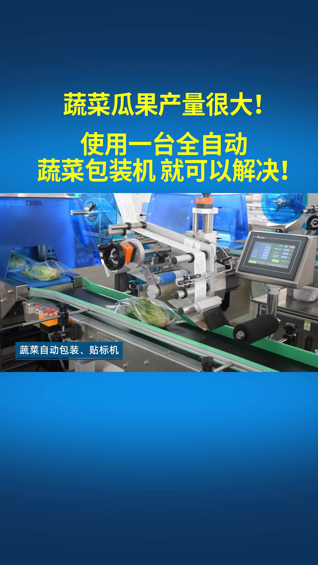 蔬菜配送中心产量大 使用这套全自动蔬菜包装机就可以搞定了!