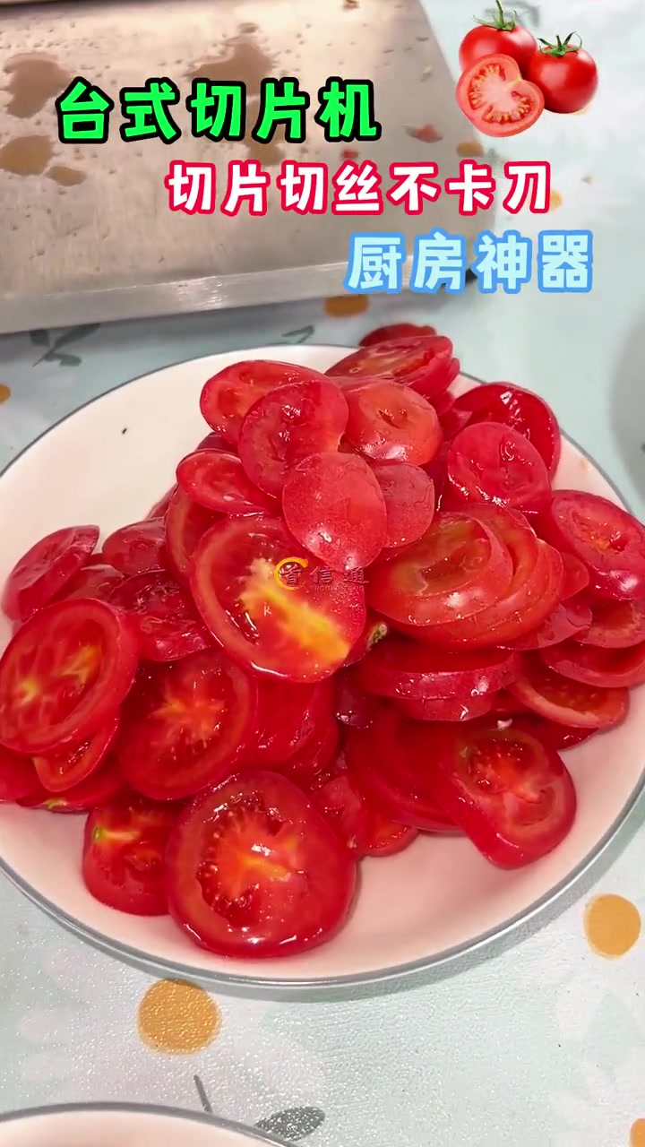 鲜肉切片机 切肉片机 切片机