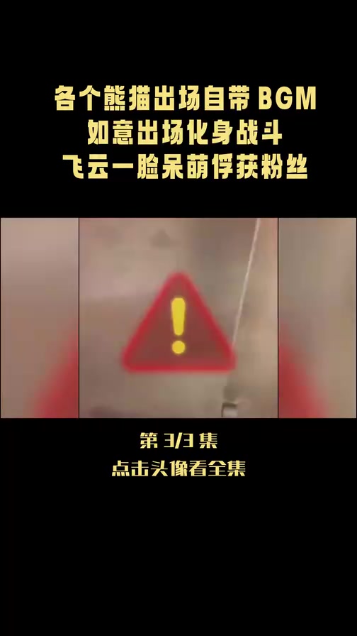 各个熊猫出场自带BGM,如意出场化身战斗熊,飞云一脸呆萌