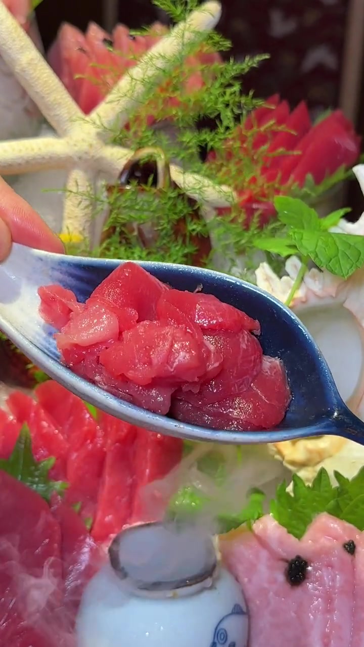 合肥开了二十多年的日料店居然有开鱼宴!专门从日本长崎运来的价值15万的蓝鳍金枪鱼!日料 刺