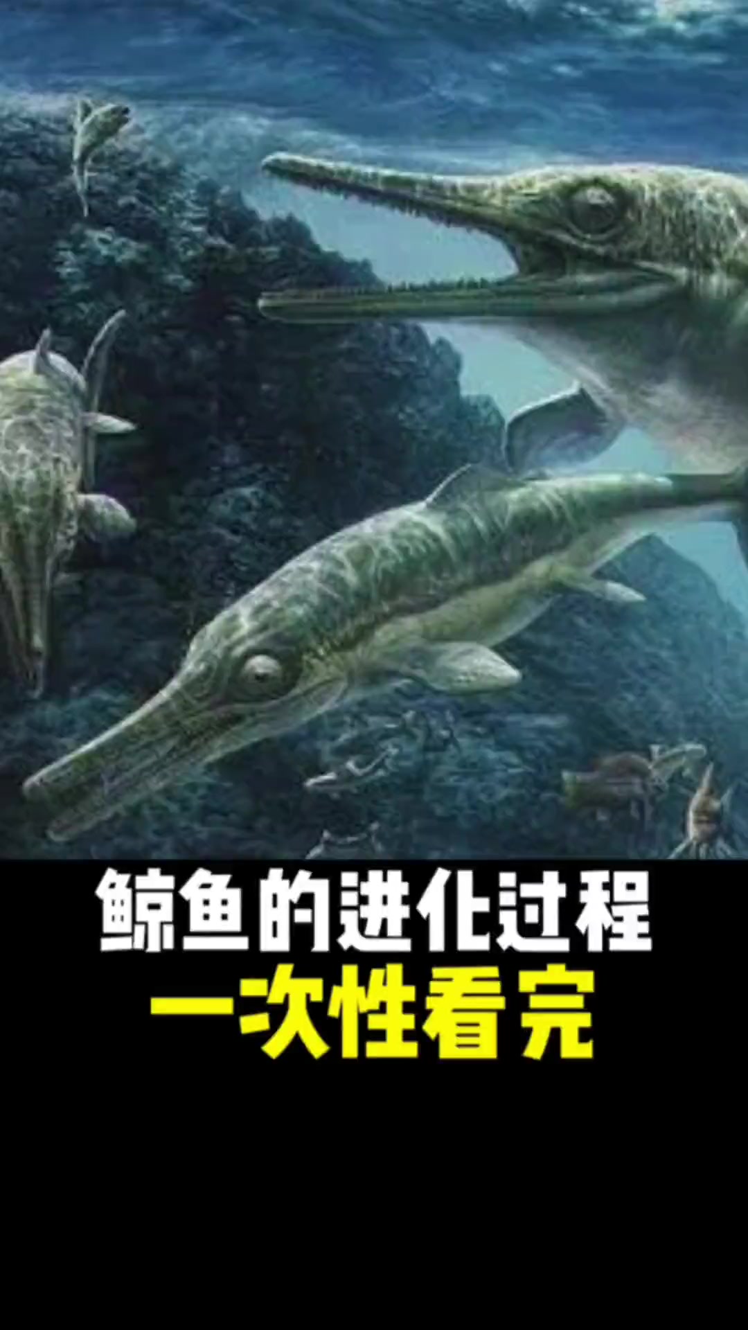 一口气看完鲸鱼的完整演化过程,从幼犬大小到海洋巨兽!