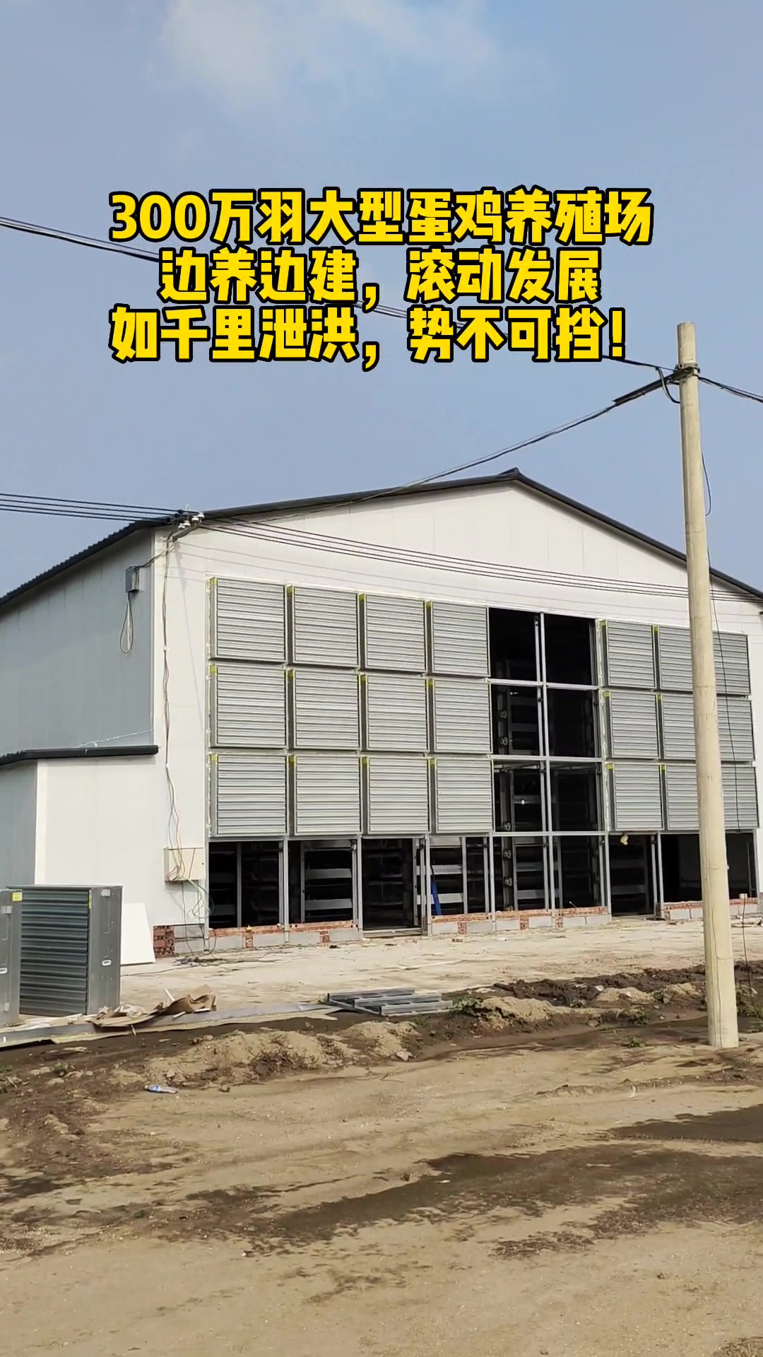 金璧盛全自动养鸡设备蛋鸡养殖设备安装蛋鸡笼源头厂家