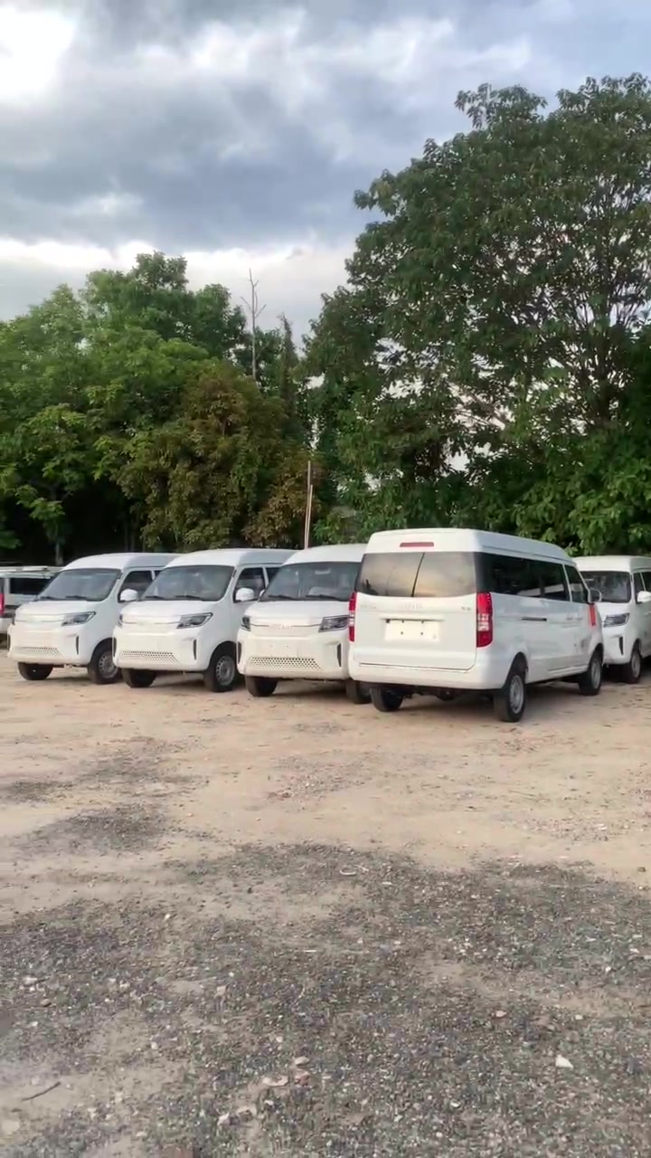 新新能源二手面包车