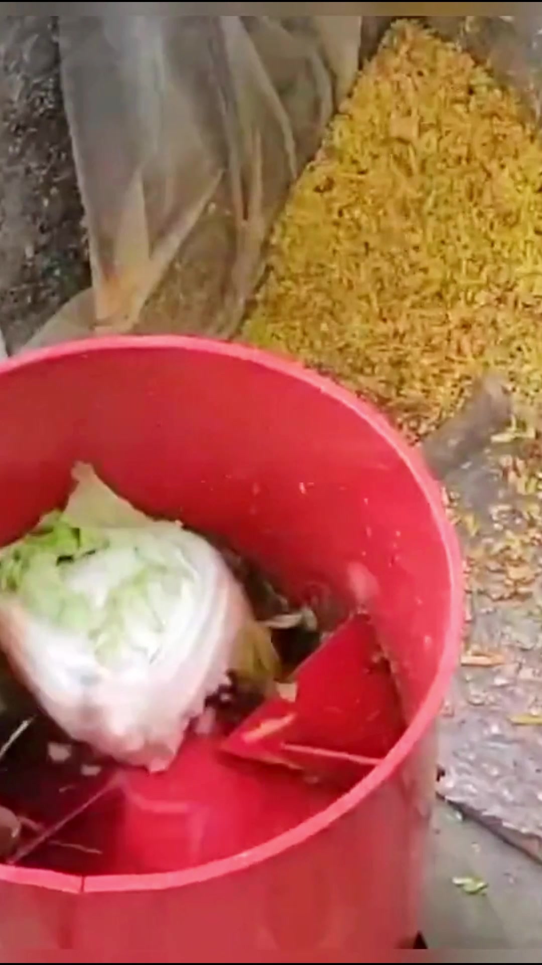 瓜果蔬菜粉碎机 好用不贵