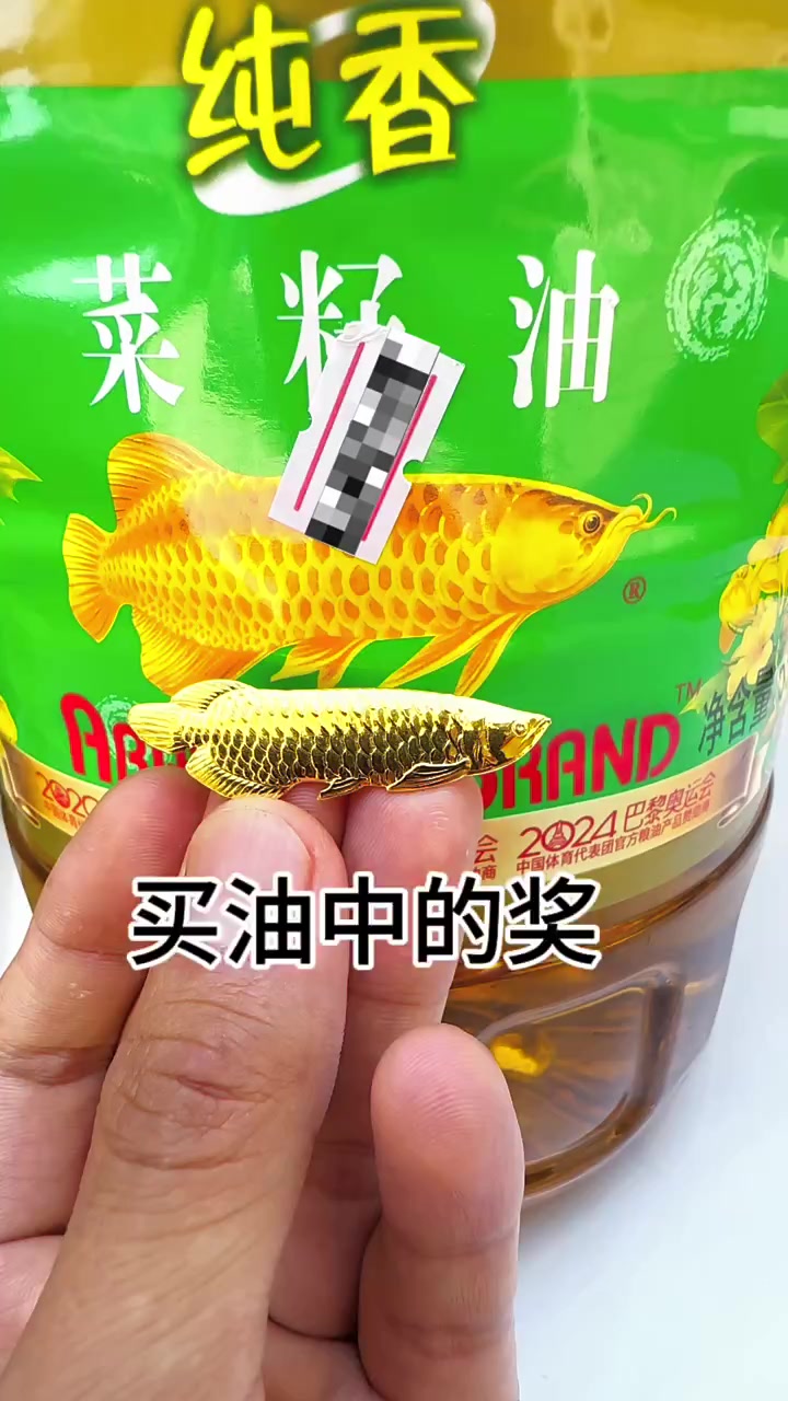 买菜籽油中的奖金龙鱼金条