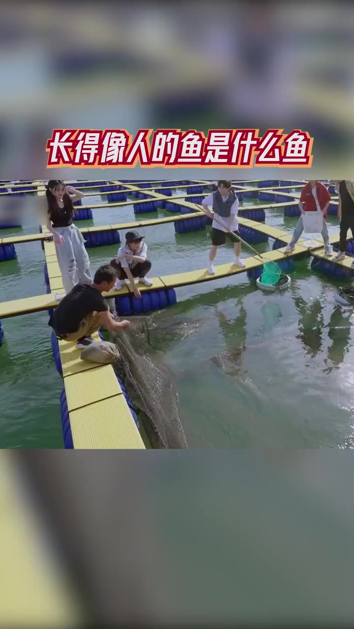 食万八千里 长得像人的鱼是什么鱼