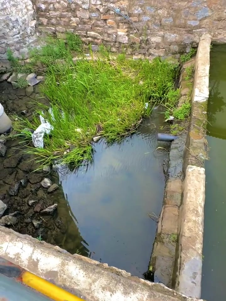 答应大家的抓龙虾它来啦!