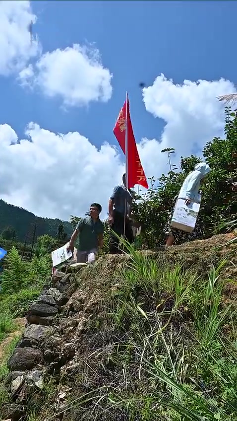 视频|品梨游天湖,连州潭岭让你甜上心头