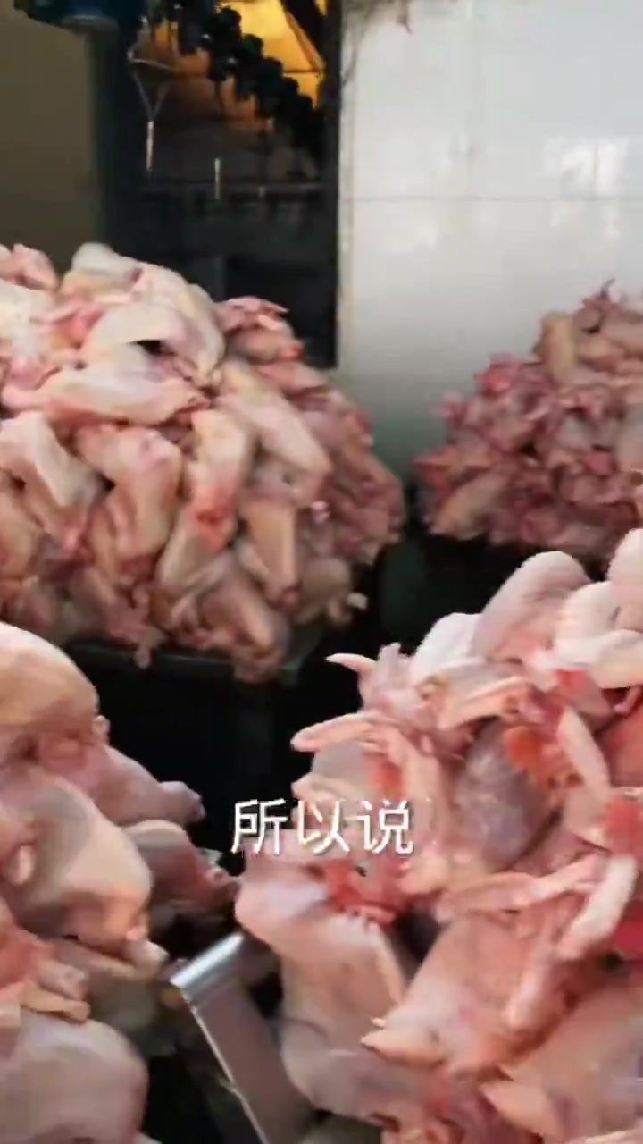 河南安阳滑县道口烧鸡