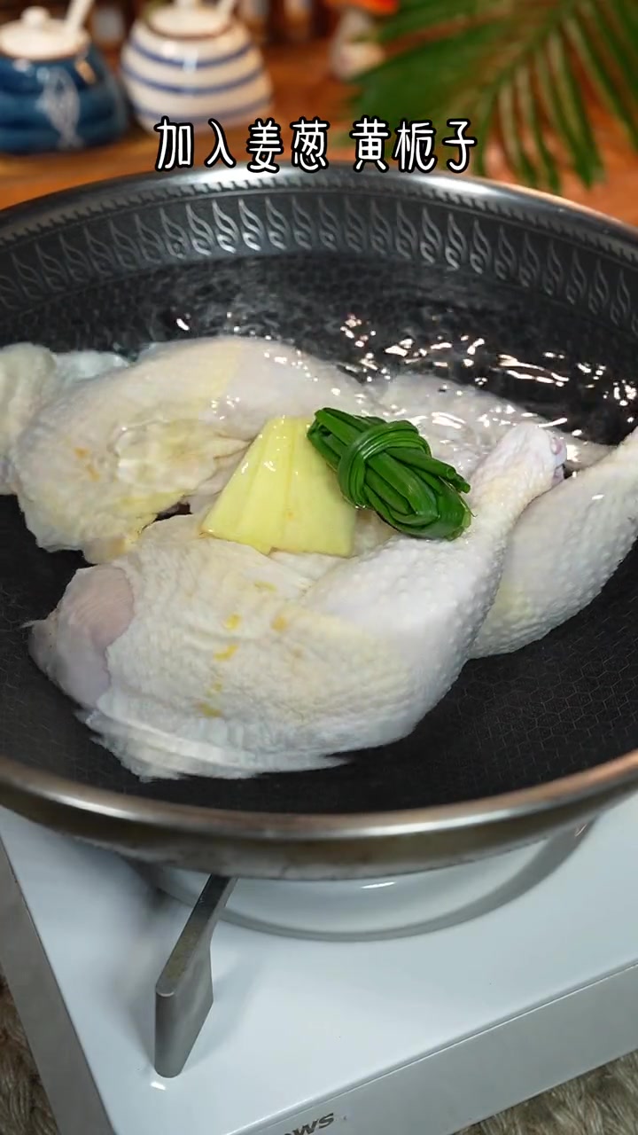 我全家人都爱吃这个葱油手撕鸡,葱香味十足,嫩滑又下饭 葱油手撕鸡 手撕鸡 美食教程