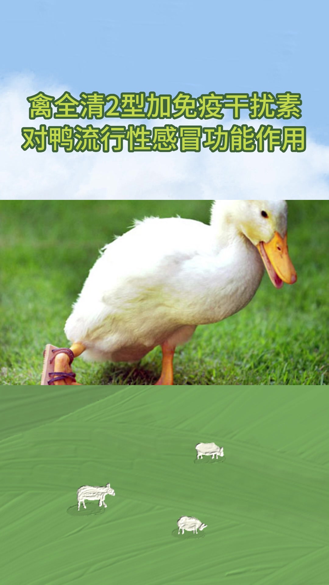 鸭流行性感冒特效药治疗预防