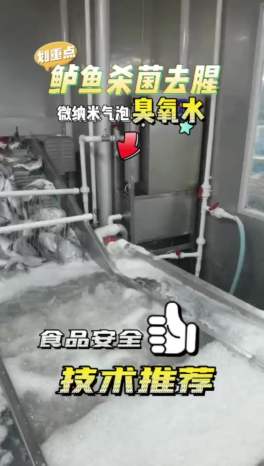 微纳米气泡技术在食品领域去腥去血水延长保质期的作用