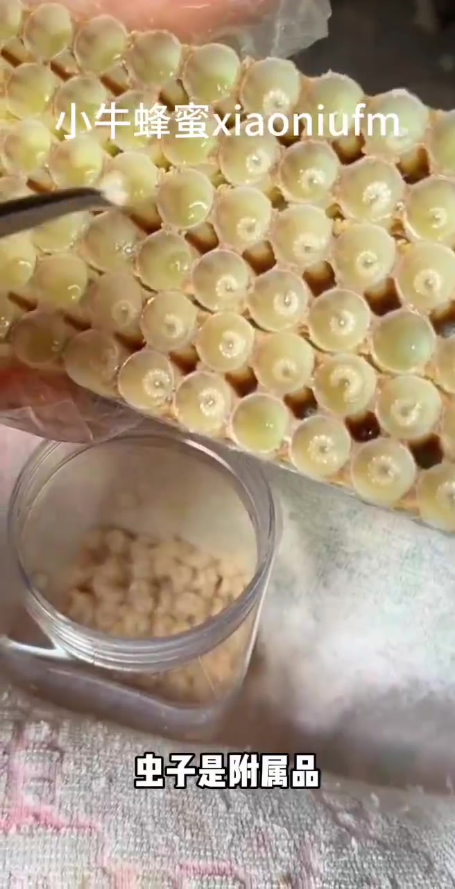 女人吃蜂王胎好还是蜂王浆好蜂王胎的功效与作用新鲜的蜂王浆才是