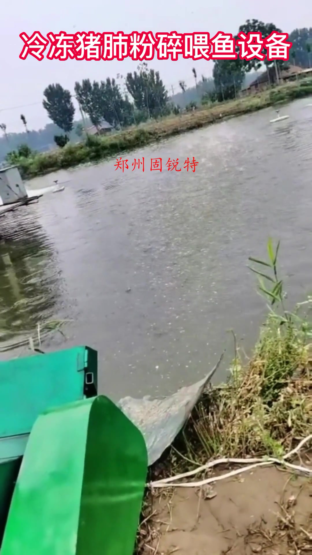 冷冻猪肺粉碎喂鱼机 鱼塘冻肉打碎神器 冷冻鱼饲料破碎投料器